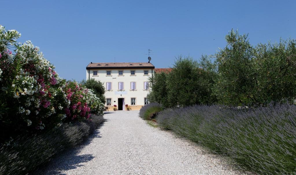 Agriturismo Casa Aurora Bussolengo Kültér fotó